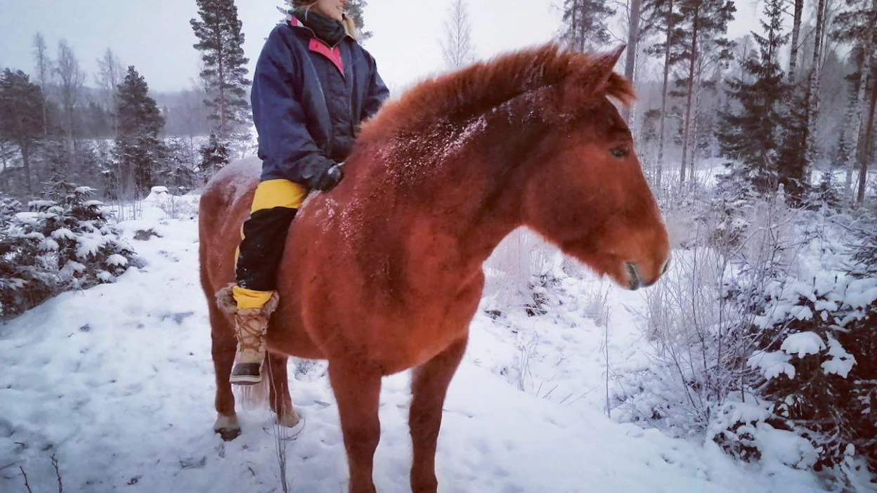 20-vuotiaan suomenhevosruuna Onnin selässä. Milla Paloniemi ei paljoa ratsasta, mutta puuhaa päivittäin hevostensa kanssa.