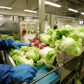 Valmiiksi leikattuja tuoreita vihanneksia ja hedelmiä valmistavan Salicon omistaa ruotsalainen Greenfood-konserni, jonka suurin omistaja on Nordic Capital -pääomarahasto.