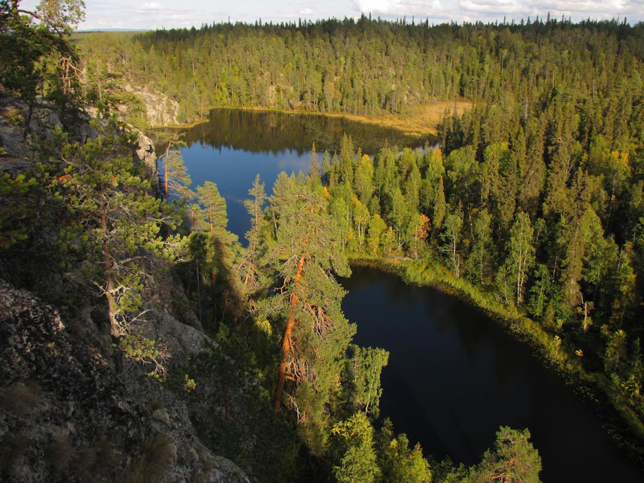 Rukalla Kuusamossa viime syksynä järjestetty World Bioeconomy Forum keräsi verkon välityksellä osallistujia 50 maasta.