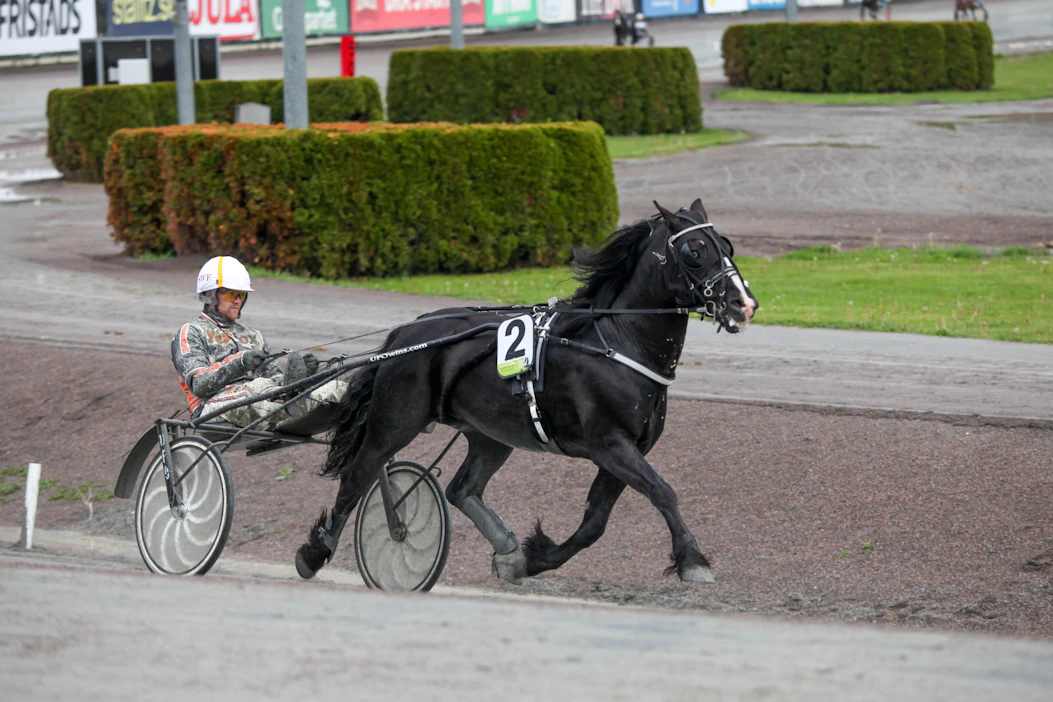 Oskar Kylin Blom, kuvassa 2019 Elitkampen-hevosen Art Kjarvaldin rattailla, sai eilisillalta Visbystä poikkeuksellisen rangaistuksen: kolmen kuukauden huili ohjastustehtävistä.