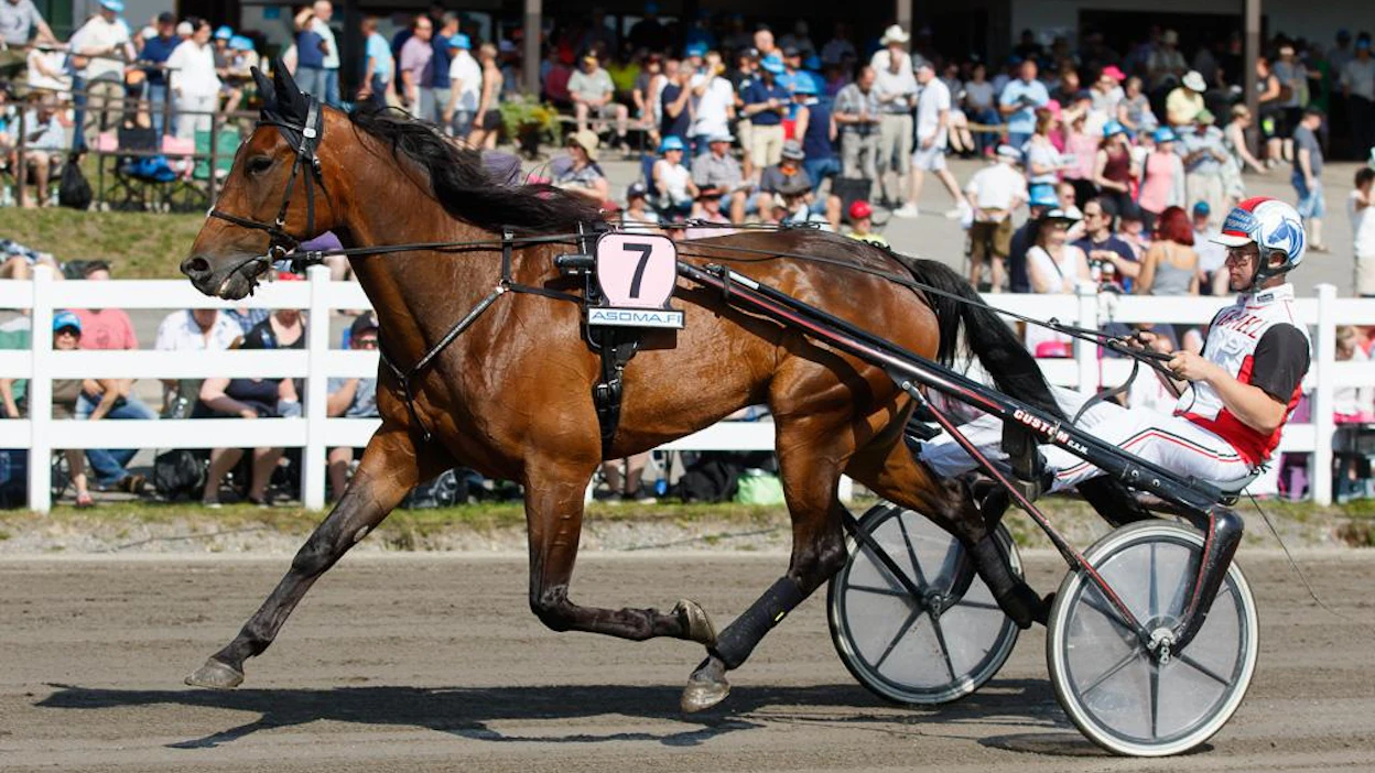Next Directionin osallistuminen Elitloppetiin on nyt Solvallan kilpailupäällikön Aders Malmrotin käsissä.