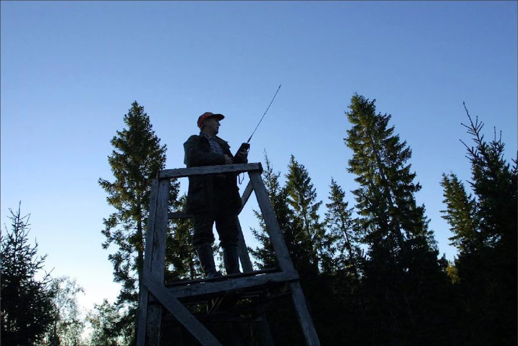 Metsiä käytetään paljon muuhunkin kuin puuntuotantoon. Esimerkiksi metsästys on yksi tärkeistä käyttömuodoista, Tapio Klen toteaa. Kimmo Haimi