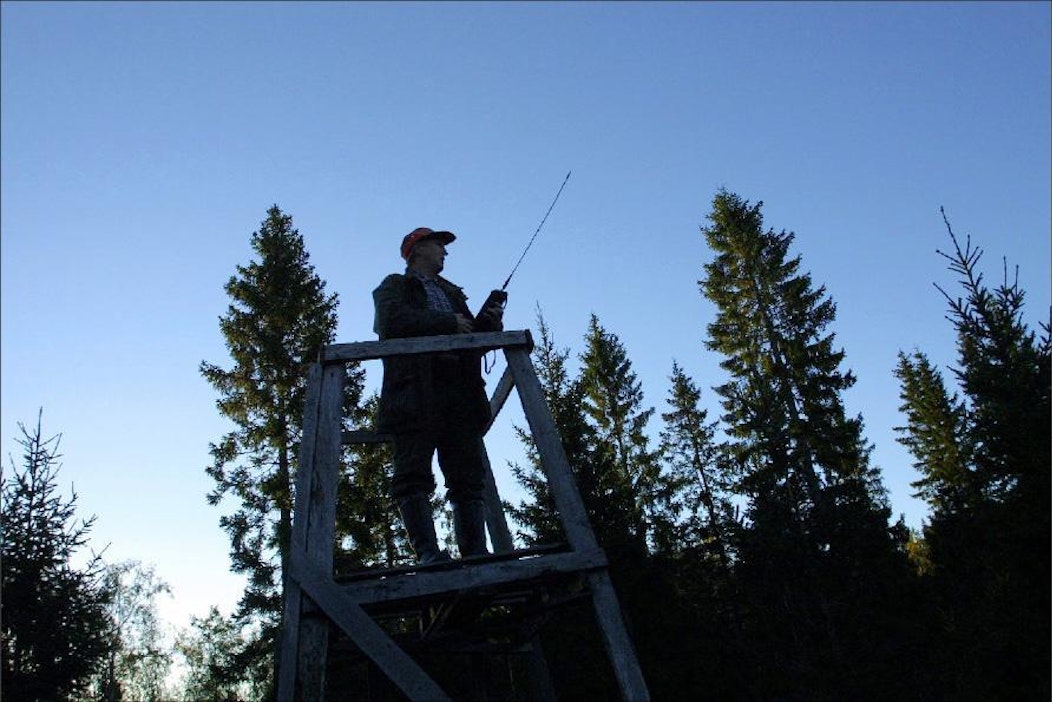 Metsällä muutakin arvoa kuin puuntuotto - Uutiset - Maaseudun Tulevaisuus