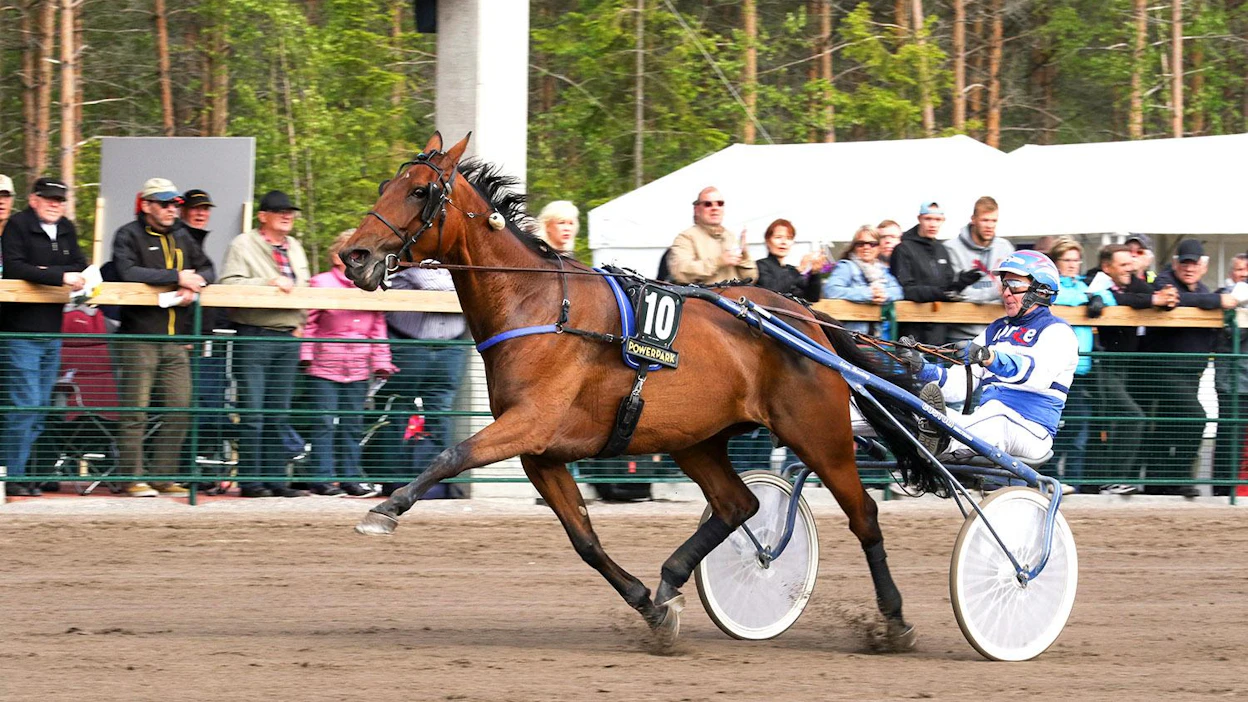 Twigs Voici kehitti vauhdikkaan loppukirin ja voitti tammalähdön ajalla 12,4/1609a.
