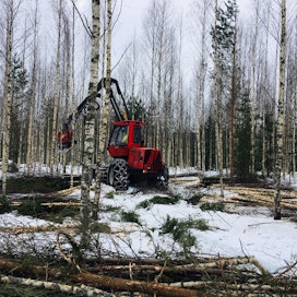 Kanadalaisen ilmastotutkijan mukaan suomalainen tapa hoitaa metsiä ja käyttää puuta on ratkaisu ilmastonmuutoksen vastaisessa taistelussa.