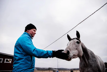 "Maaseudun ja kaupunkien symbioosi on lähivuosina syvenemässä ja siksi kaupunkiväestömme mukaan saaminen edistää myös maaseudun kehittymistä", puheenjohtaja Petri Rinne Suomen Kylät ry:stä sanoo.