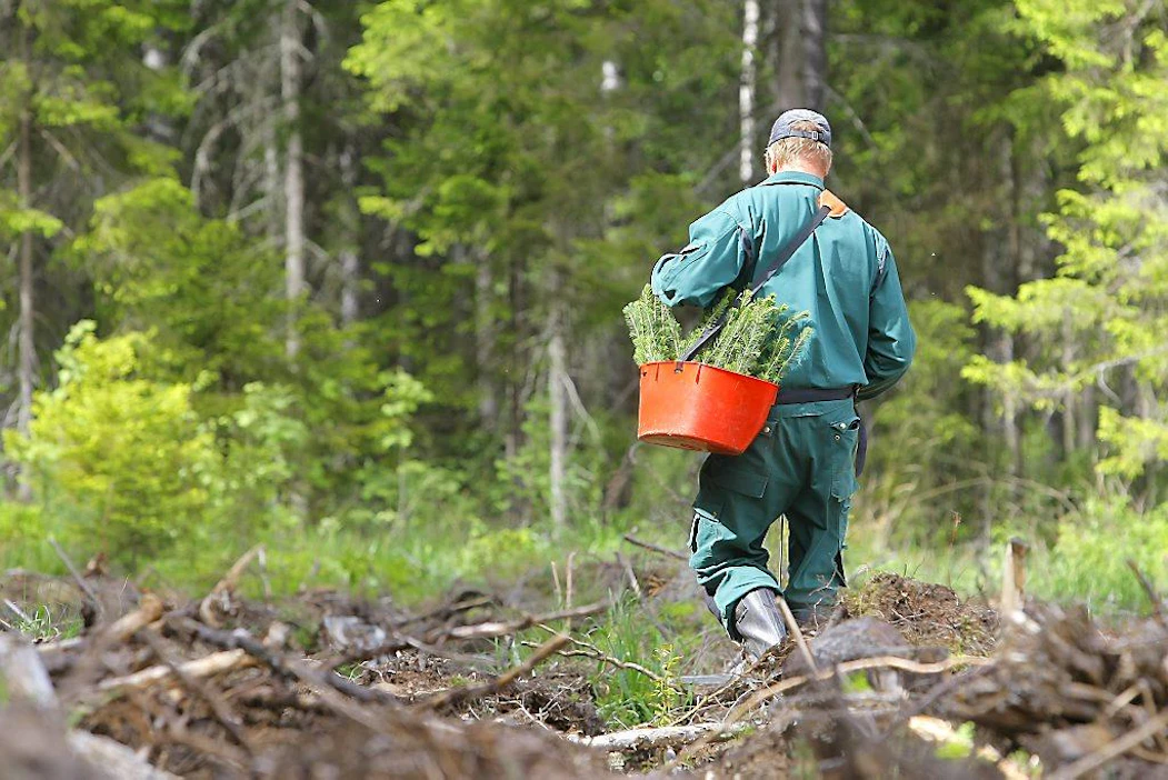 Metsäpalveluiden toteuttajista, metsureista, on kasvavaa niukkuutta, ja se on Petri Kortejärven mielestä keskeisin myynnin este. Kukapa haluaisi myydä palvelun, joka ei toteudu sovittuna aikana.