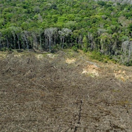 Sopimusta on allekirjoittamassa myös Brasilia, jossa on suurilla alueilla kaadettu Amazonin sademetsää.  LEHTIKUVA / AFP