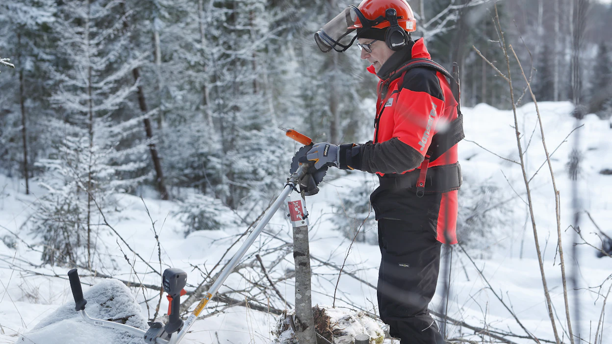 Eduskuntavaaleissa ratkaistaan, toteutuvatko metsänomistajien huolet vai aukeaako metsätalouden harjoittamiseen uusia mahdollisuuksia. Kuva MT:n arkistosta.
