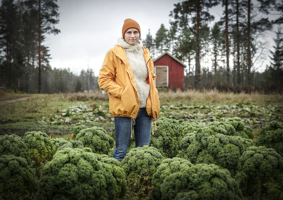 Saara Kässi-Jokinen (kesk.) viljelee kaalia, hernettä ja härkäpapua miehensä Niko Jokisen kanssa Keuruun Riihossa.