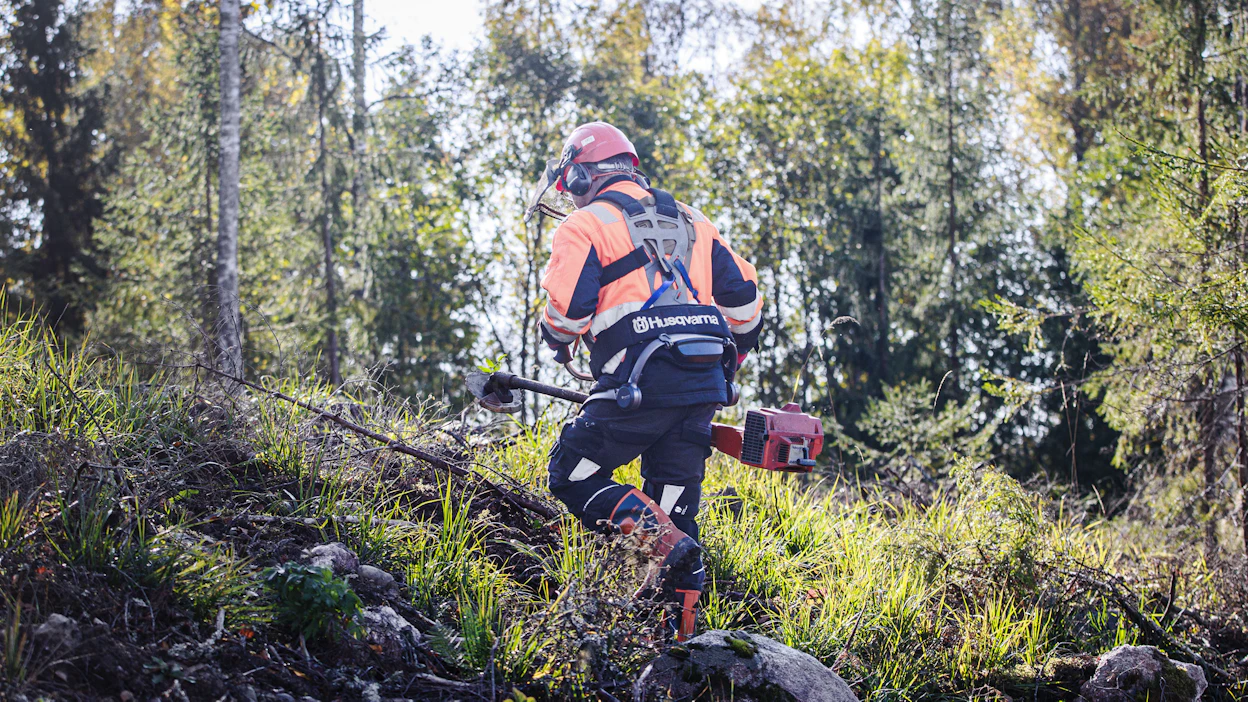 PTT:n tuoreen selvityksen mukaan puun tuotannon tukemisesta kertyy yhteiskunnalle pitkällä aikavälillä enemmän hyötyjä kuin mitä niistä aiheutuu kustannuksia. Kuvituskuva.
