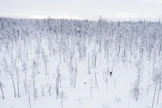 Käyntimäärä väheni vuodesta 2021 runsaan kymmeneksen. Kuvassa Hossan kansallispuisto Suomussalmella.