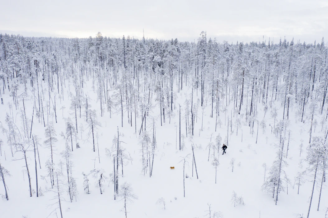 Käyntimäärä väheni vuodesta 2021 runsaan kymmeneksen. Kuvassa Hossan kansallispuisto Suomussalmella.