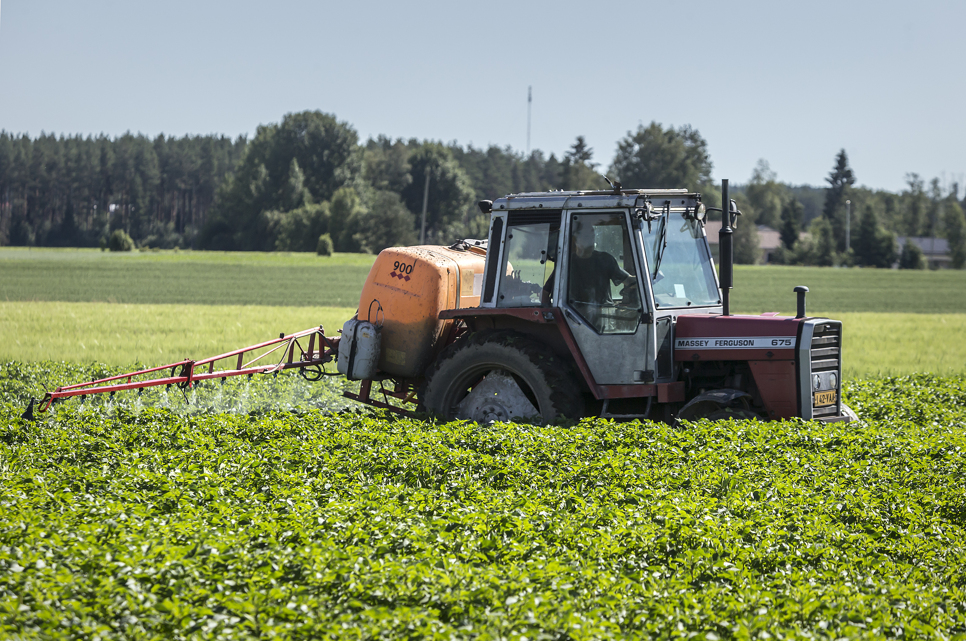 Perunantutkimuslaitoksella seurataan nyt tarkkaan tautitilanteen kehittymistä. Perunaruton torjunnan onnistuminen korostuu.