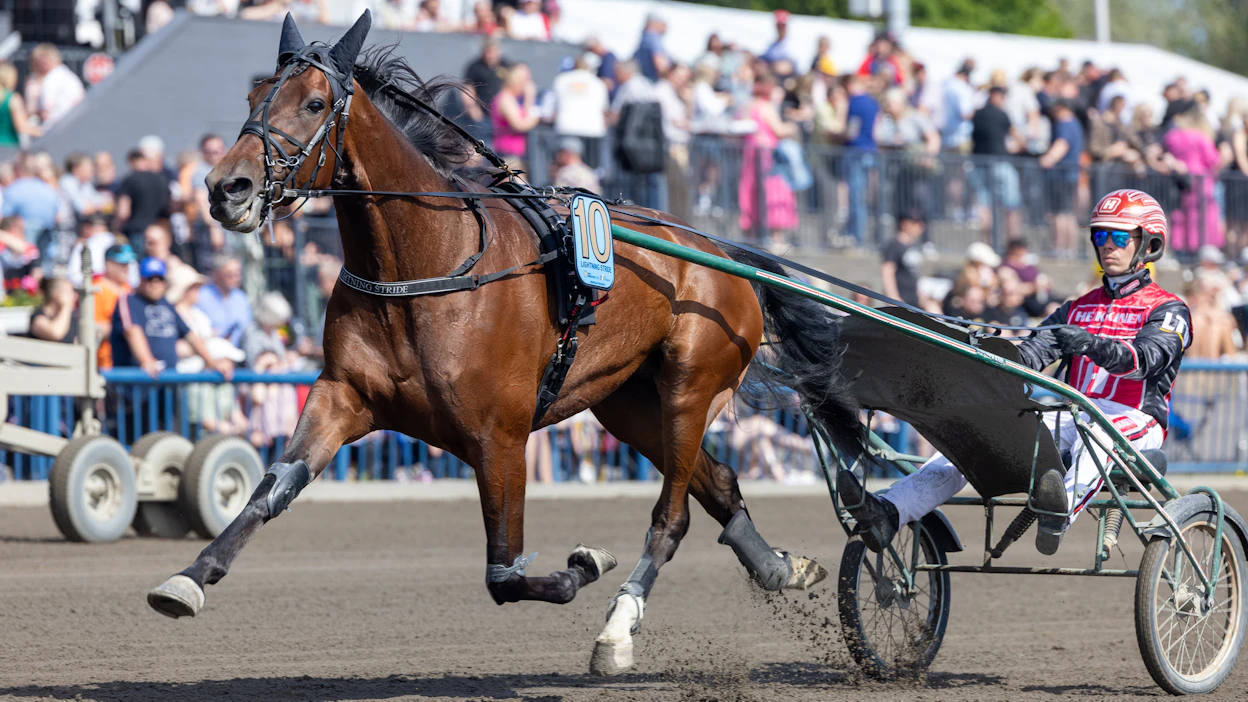 Lightning Stride sijoittui Santtu Raitalan ohjastamana neljänneksi tämän vuoden Kymi GP:ssä.