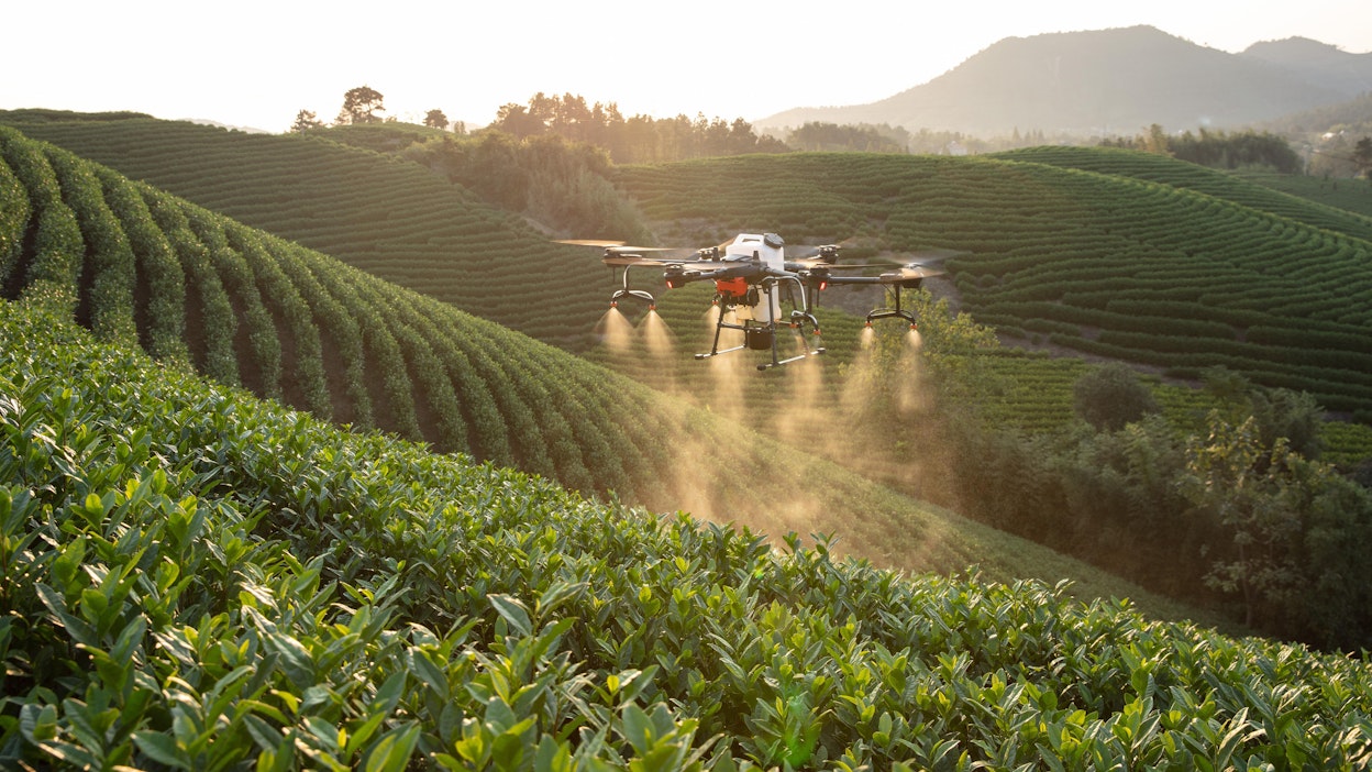 Kasvinsuojeluruiskuilla varustetut dronet alkoivat yleistyä Aasiassa viime vuosikymmenen lopulla ja nyt niitä arvioidaan olevan käytössä yksin Kiinassa satojatuhansia. Isot kasvinsuojeluaineiden valmistajat toivat samaan aikaan markkinoille lentolevitykseen kehitettyjä torjunta-aineita.