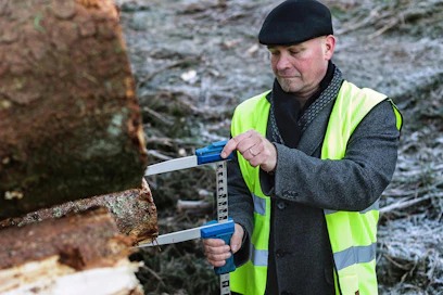 Päijät-Hämeen metsänhoitoyhdistyksen johtaja Jari Yli-Talonen kannattaa runkohinnoittelua, sillä se siirtää katkonnan riskit ostajalle.
