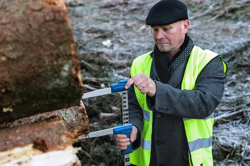 Päijät-Hämeen metsänhoitoyhdistyksen johtaja Jari Yli-Talonen kannattaa runkohinnoittelua, sillä se siirtää katkonnan riskit ostajalle.