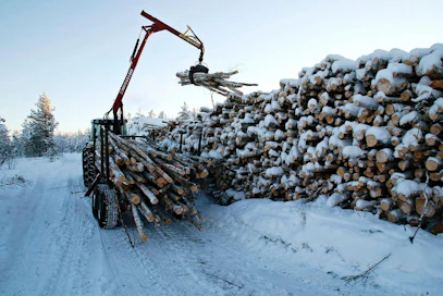 Metsäteollisuus ry:n jäsenet ostivat tammikuussa yksityismetsistä 2,8 miljoonaa kuutiota puuta.