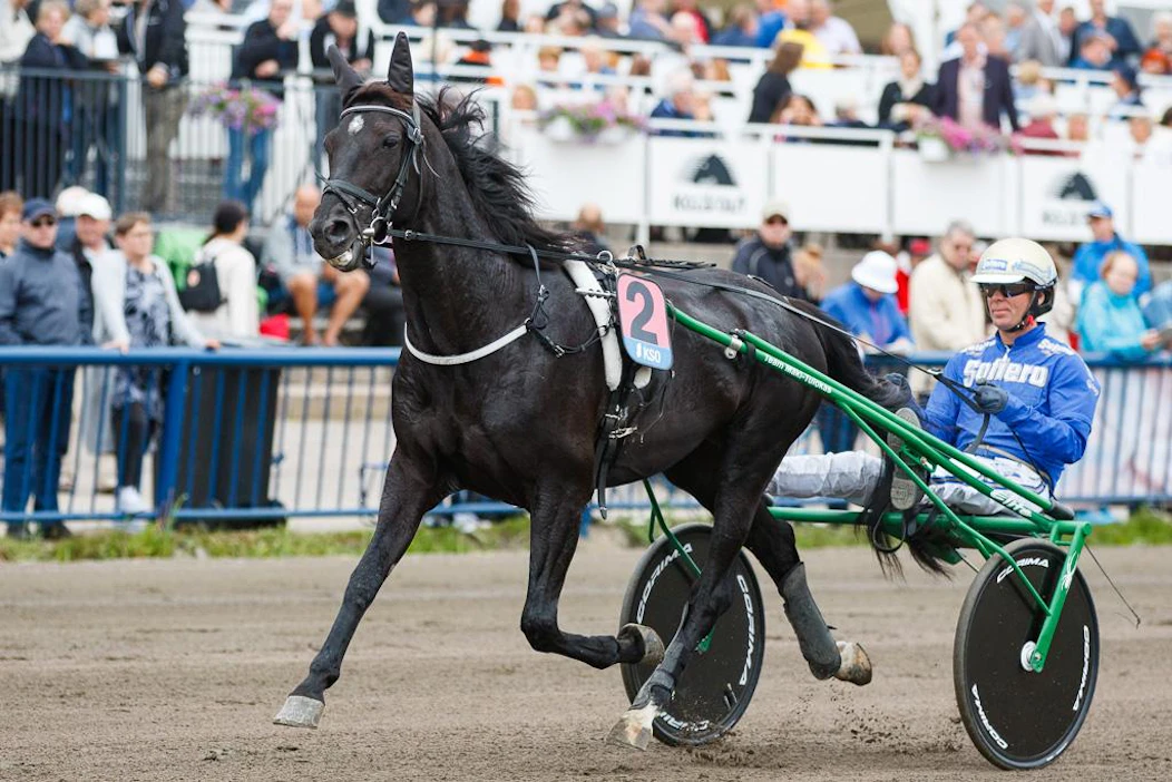 Björn Goop ajoi Chief Orlandon vuosi sitten Sweden Cupin kakkoseksi. Rommessa sitä ajaa sunnuntaina Rickard N Skoglund.