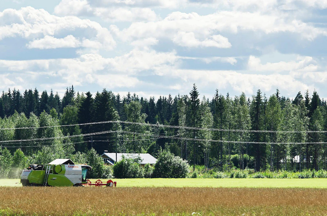 Sadonkorjuu on myöhässä pari kolme viikkoa ja erot sadoissa ovat suuria, mikä voi vielä heikentää monen tilan maksukykyä syksyn aikana.