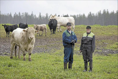 Kahdesta erillisestä tilasta muodostettu Sorsaemo Oy jatkaa emolehmätuotantoa entiseen tapaan. Yrityksen omistavat Ville ja Outi Koukkari. Reijo Haukia