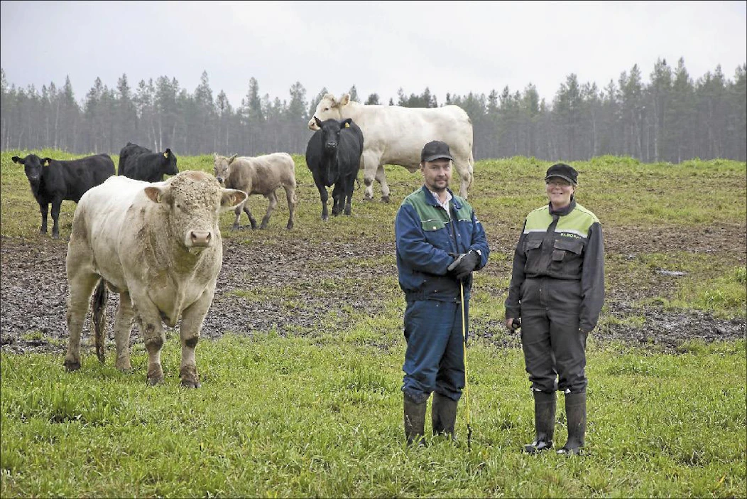 Kahdesta erillisestä tilasta muodostettu Sorsaemo Oy jatkaa emolehmätuotantoa entiseen tapaan. Yrityksen omistavat Ville ja Outi Koukkari. Reijo Haukia