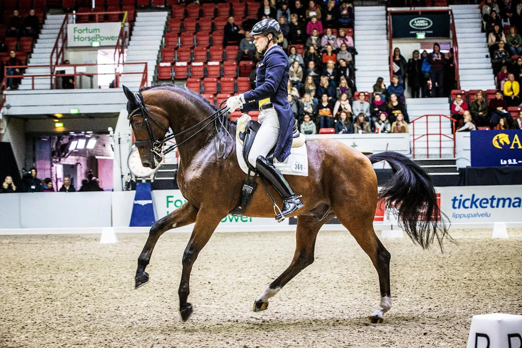 Henri Ruoste on valmistautunut Tokioon myös kokeneella Rossettilla, jolla hän kilpaili Helsinki International Horse Show'ssa muun muassa 2018.