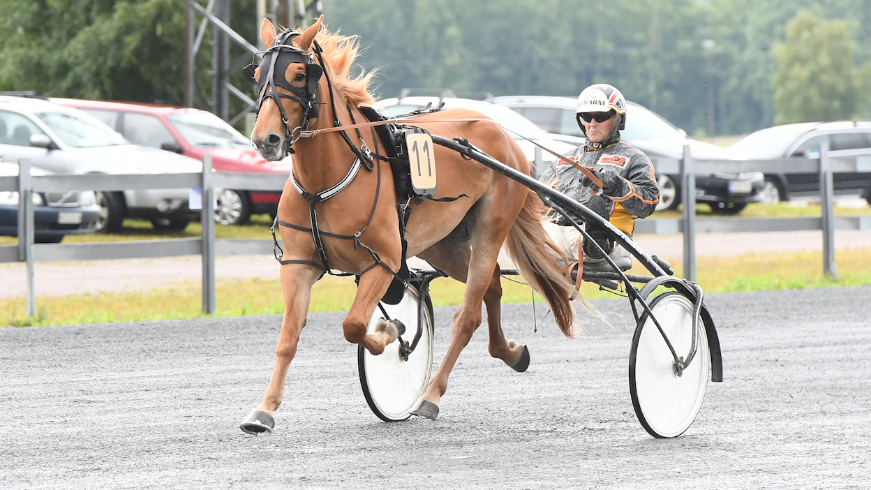Uransa 29 startista peräti 15 voittanut Lumi-Oosa palasi sairastauolta hyvässä iskussa radoille reilu viikko sitten.