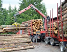 Metsäteollisuudella on vielä kolmannes tämänvuotisista puista ostamatta.