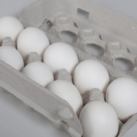 Belgiassa, Hollannissa ja Saksassa miljoonia munia on vedetty myynnistä myrkkytapauksen vuoksi.