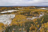 Sekametsäisyys lisää metsien monimuotoisuutta. 