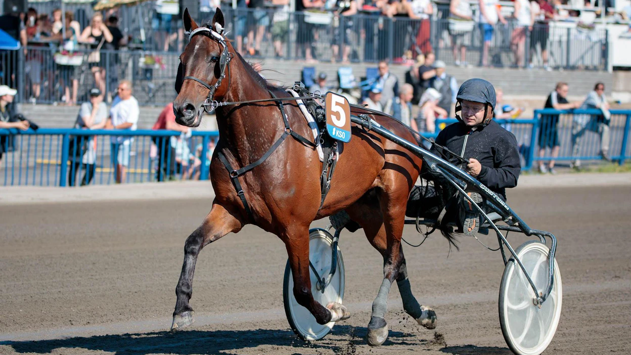 Kimmo Ahola on rakentanut Redemptionista voittokoneen. Tänään alkaa kaksikon viides yhteinen kausi. Viime vuosi toi Redemptionille valtakunnan voitokkaimman hevosen tittelin.