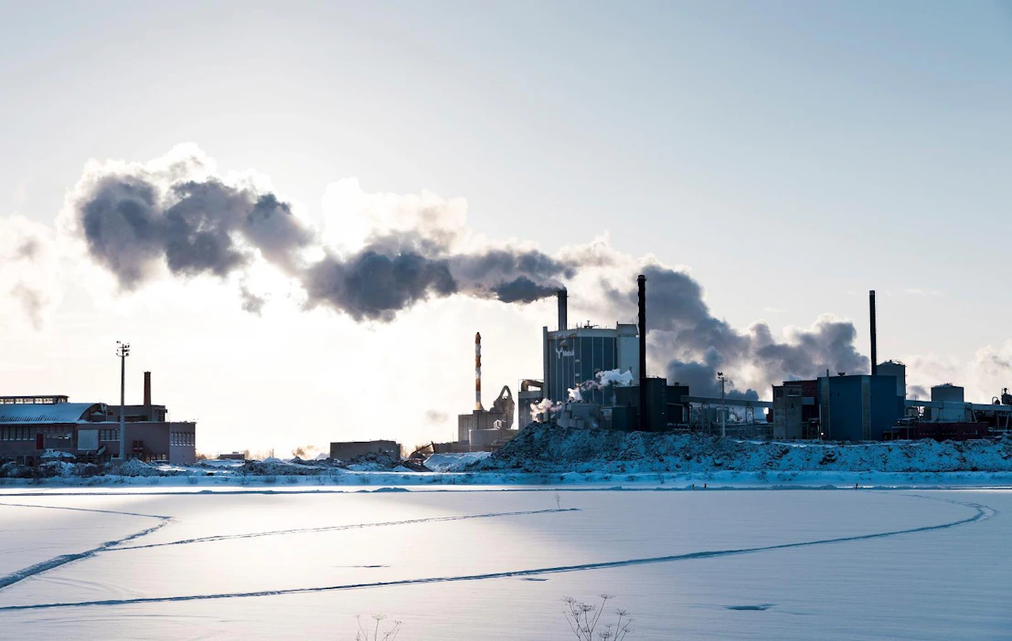 Metsäalan rooli Suomen taloudessa on suuri. Se tuo maahan paljon vientituloja, työllistää ympäri Suomen ja tuo puunmyyntitulojen kautta paljon rahaa maakuntien talouteen.