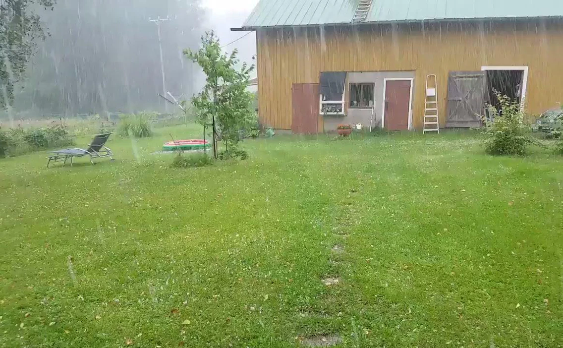 Voimakkaat raesateet voivat aiheuttaa kasvi- ja viljelystuhoja.