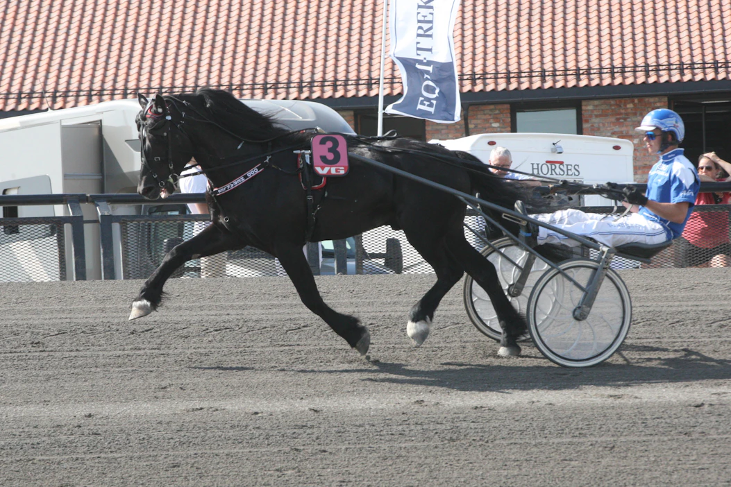 Lars O. Romtvetin valmentama Odd Herakles on voittanut Suomessa juhannuksena 2019 Nordic Kingin.