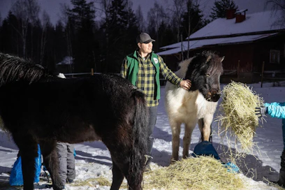 Tommi Wessman käyttää toiminnassa itsestään nimimerkkiä Herkkä Hevosmies. "Vaikka oman herkkyyden tuominen esiin oli aluksi itsellekin haastavaa, siitä on tullut työssä kantava voima", hän sanoo nuorten ja islanninhevosten keskellä.
