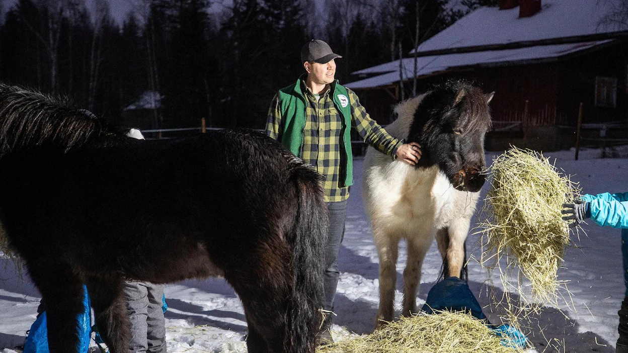 Tommi Wessman käyttää toiminnassa itsestään nimimerkkiä Herkkä Hevosmies. "Vaikka oman herkkyyden tuominen esiin oli aluksi itsellekin haastavaa, siitä on tullut työssä kantava voima", hän sanoo nuorten ja islanninhevosten keskellä.