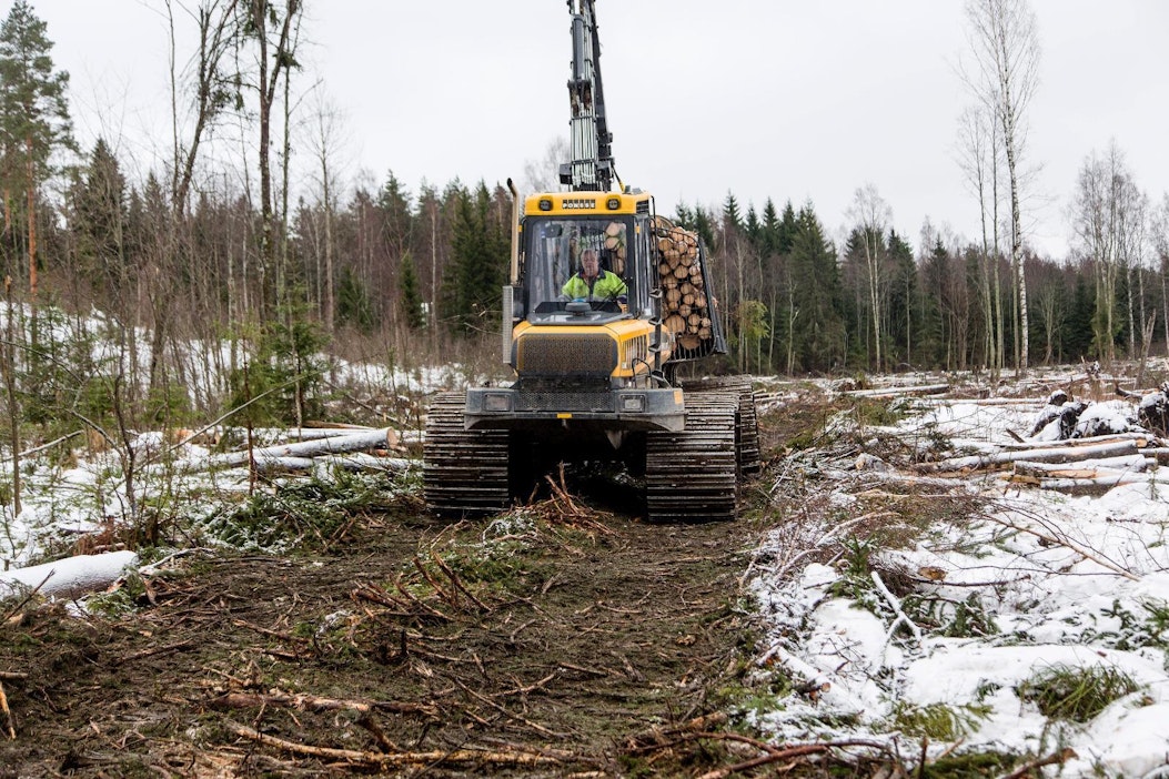 Markku Töyrylä korjasi puuta Mäntsälässä ennen joulua.