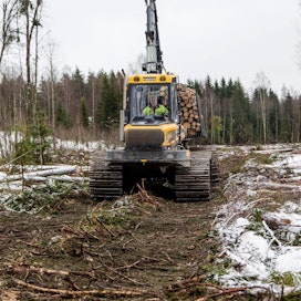 Markku Töyrylä korjasi puuta Mäntsälässä ennen joulua.