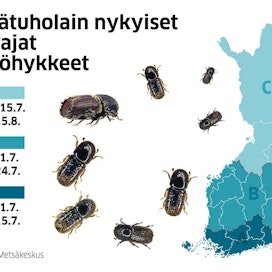 Metsätuholain A-vyöhykkeeseen kuuluvat nykyisin Etelä-Karjalan, Kanta-Hämeen, Kymenlaakson, Päijät-Hämeen, Uudenmaan ja Varsinais-Suomen maakunnat.