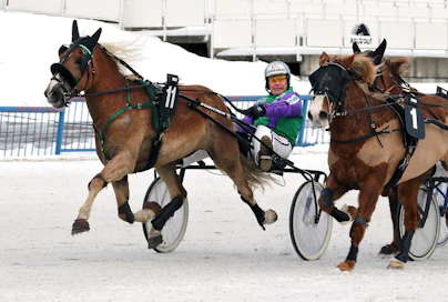 Niemen Cecilia ohitti Topmarin kovien tammojen kamppailussa, vaikka painoikin lopussa rajusti sisäänpäin.