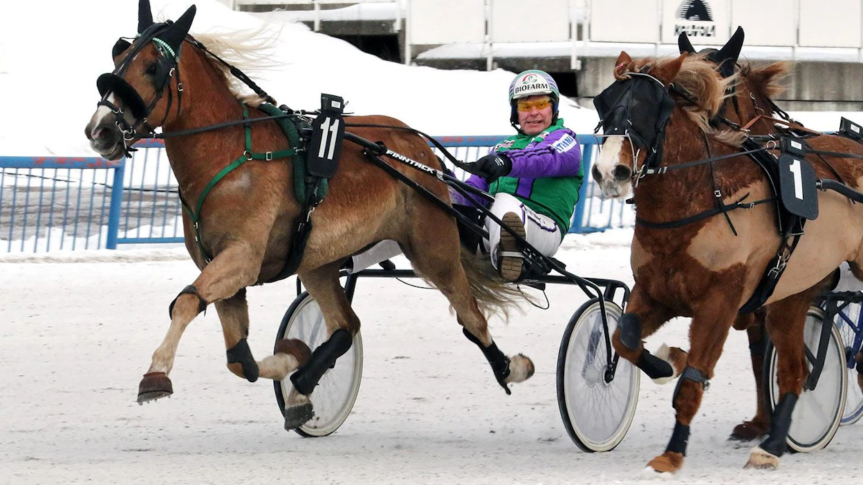 Niemen Cecilia ohitti Topmarin kovien tammojen kamppailussa, vaikka painoikin lopussa rajusti sisäänpäin.