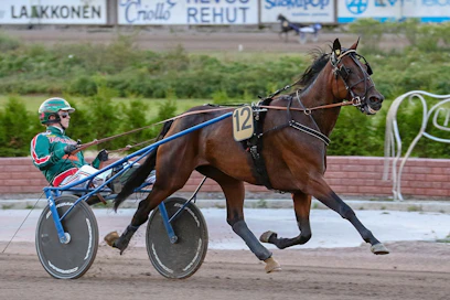 Builder's Caviar selvitti tiensä Derby-karsinnoista radalta 12 finaaliin, mutta Suur-Hollolassa tie katkesi alkueriin.
