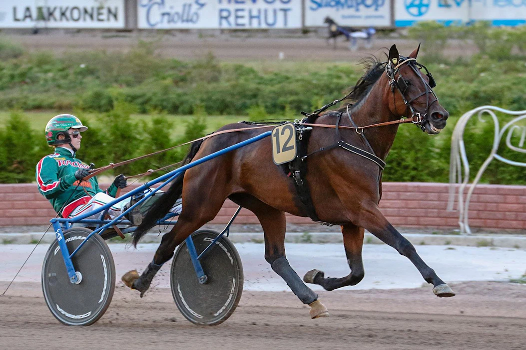 Builder's Caviar selvitti tiensä Derby-karsinnoista radalta 12 finaaliin, mutta Suur-Hollolassa tie katkesi alkueriin.