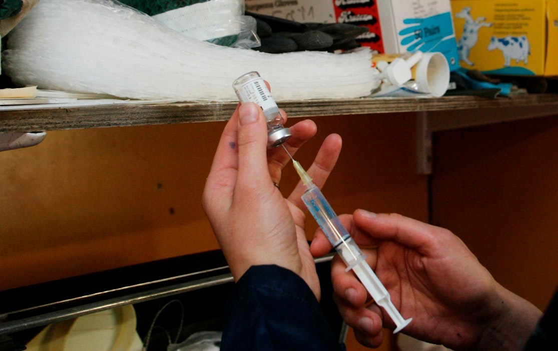 Ruotsissa halutaan rajoittaa eläinten antibioottilääkintää.