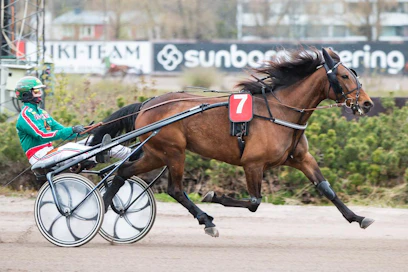 Jukka Torvisen ohjstamalla Her Royal Highnesilla on mainio lähtöpaikka ja erinomainen tilaisuus menestyä.