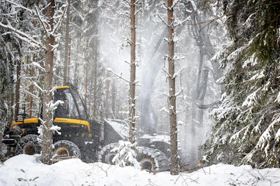 Suomen tavoitteena on, että kesällä julkaistava lulucf-asetus huomioisi nykyistä paremmin Suomen metsien todelliset nielut.