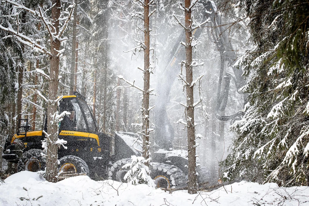 Suomen tavoitteena on, että kesällä julkaistava lulucf-asetus huomioisi nykyistä paremmin Suomen metsien todelliset nielut.