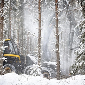 Suomen tavoitteena on, että kesällä julkaistava lulucf-asetus huomioisi nykyistä paremmin Suomen metsien todelliset nielut.
